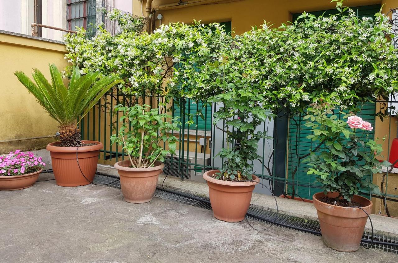 Jubilee 3 Luxury Apartment In Rome Vatican Eksteriør billede