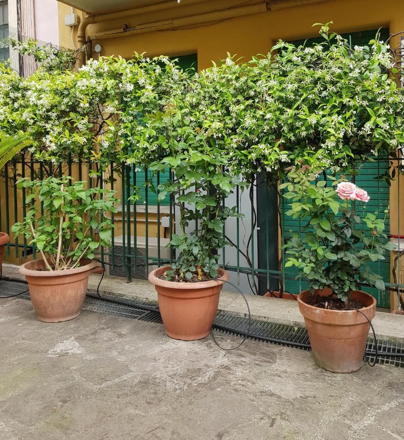 Jubilee 3 Luxury Apartment In Rome Vatican Eksteriør billede
